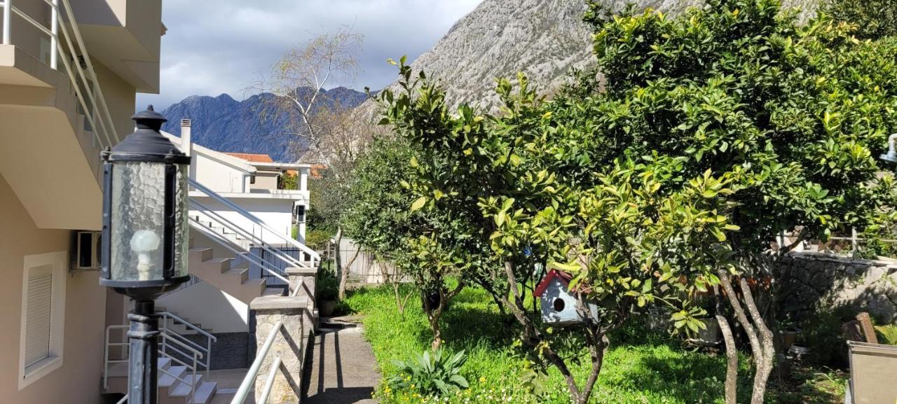 Majka Apartments Kotor Eksteriør billede